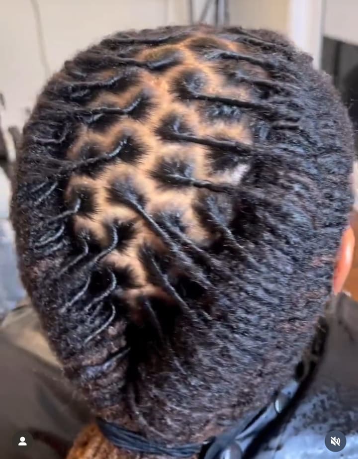 Neat loc roots with even parts, top view